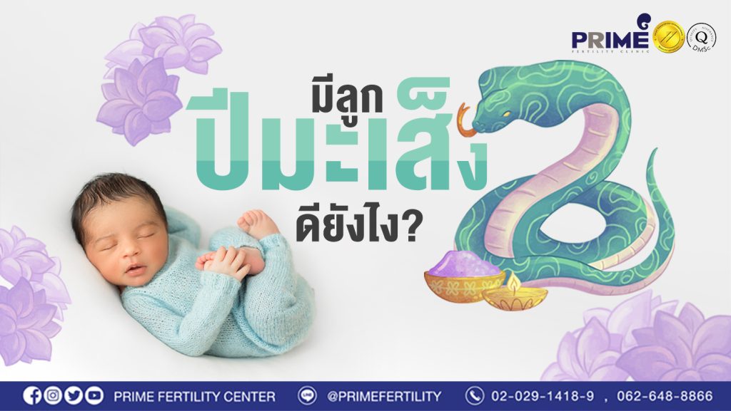 มีลูกปีมะเส็งดีอย่างไร web