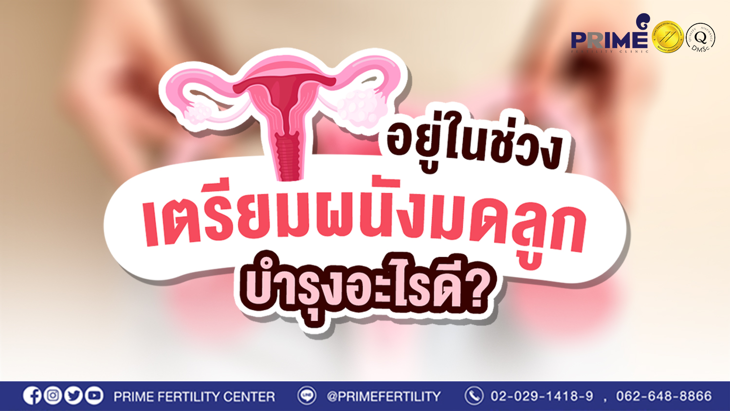 อยู่ในช่วงเตรียมผนังมดลูก บำรุงอะไรดี