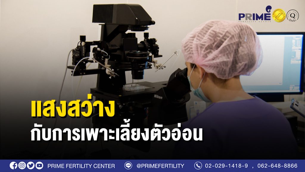 แสงสว่างกับการเพาะเลี้ยงตัวอ่อน
