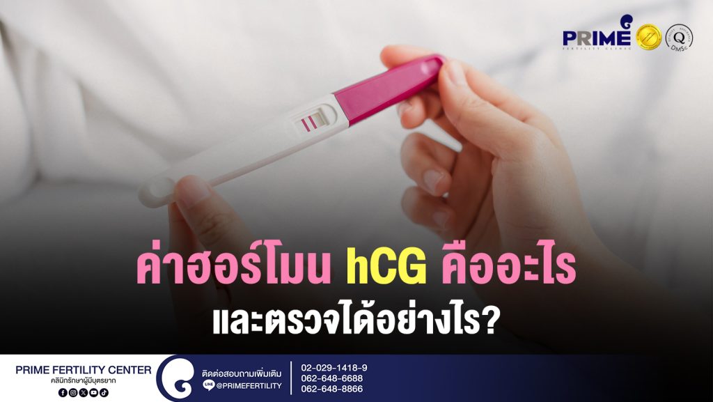 ค่าฮอร์โมน hCG คืออะไร และตรวจได้อย่างไร web