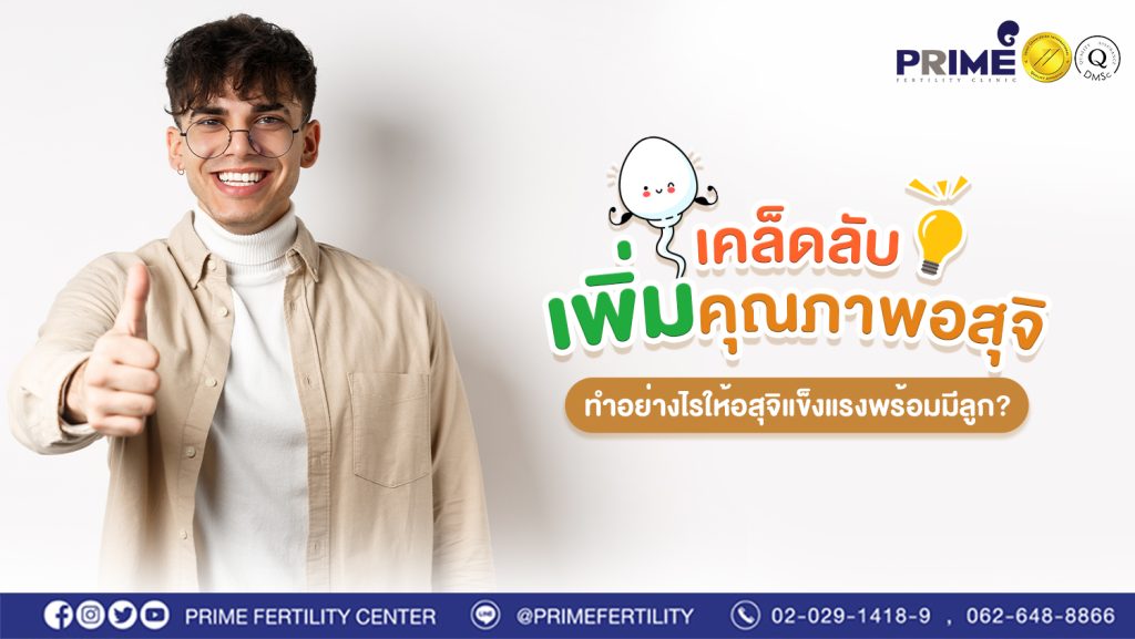 ปก เวป