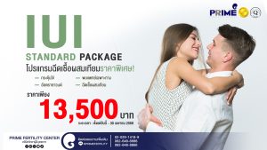IUI STANDARD 13500