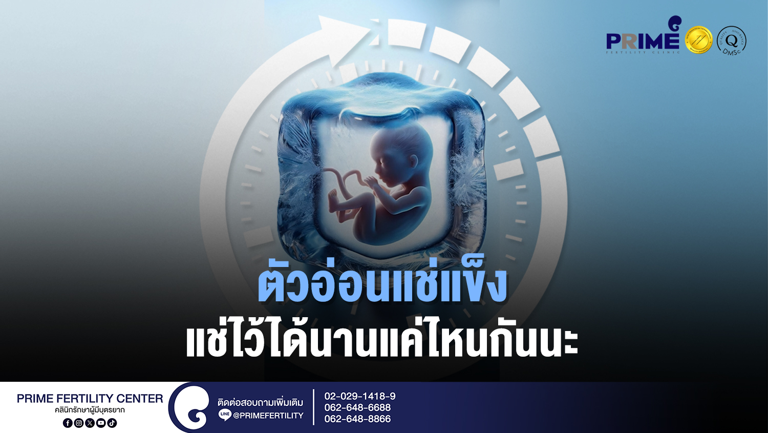 ตัวอ่อนแช่แข็ง แช่ไว้ได้นานแค่ไหนกันนะ web
