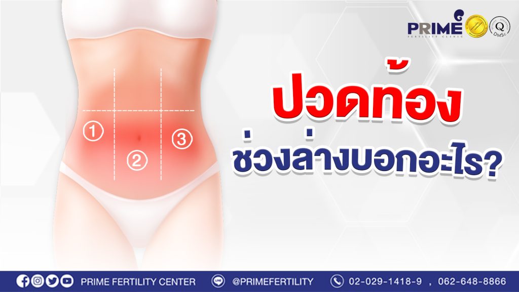 ปวดท้องช่วงล่างบอกอะไร web