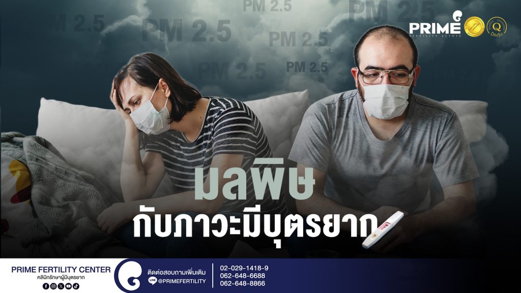 มลพิษ กับภาวะมีบุตรยาก web