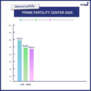 ปี2025 ไตรมาสแรก th