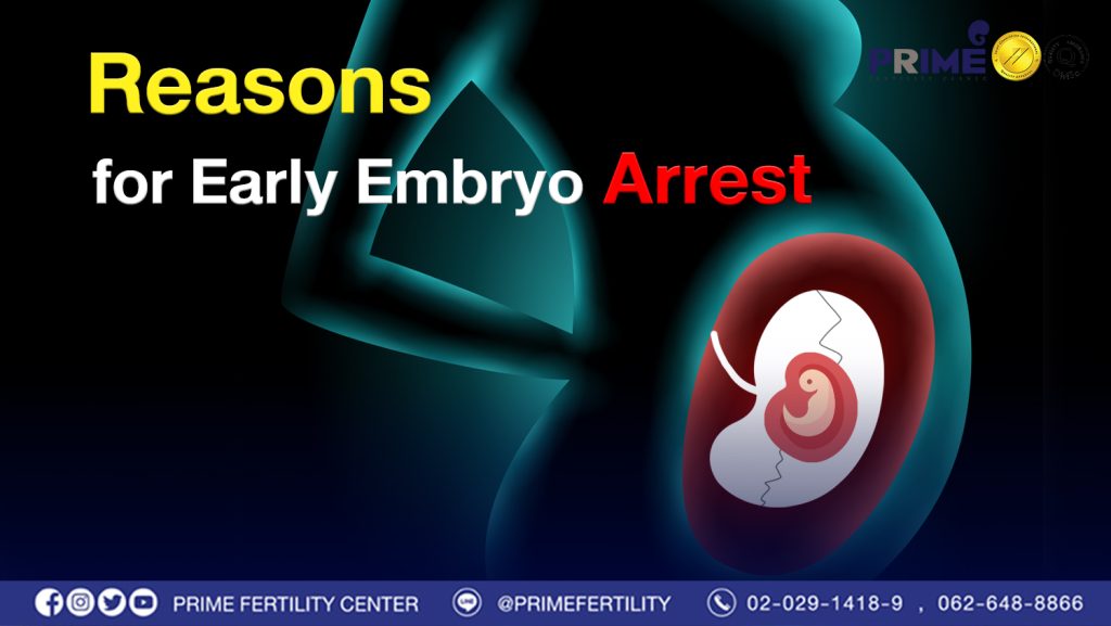 Reasons for Early Embryo Arrest - สาเหตุที่ทำให้ตัวอ่อนหยุดพัฒนาในระยะแรกweb สาเหตุที่ทำให้ตัวอ่อนหยุดพัฒนาในระยะแรกweb
