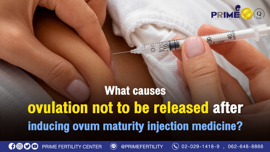 What causes ovulation not to be released after inducing ovum maturity injection medicine - ฉีดยากระตุ้นไข่แต่ไข่ไม่ตก เกิดจากอะไร web ฉีดยากระตุ้นไข่แต่ไข่ไม่ตก เกิดจากอะไร web