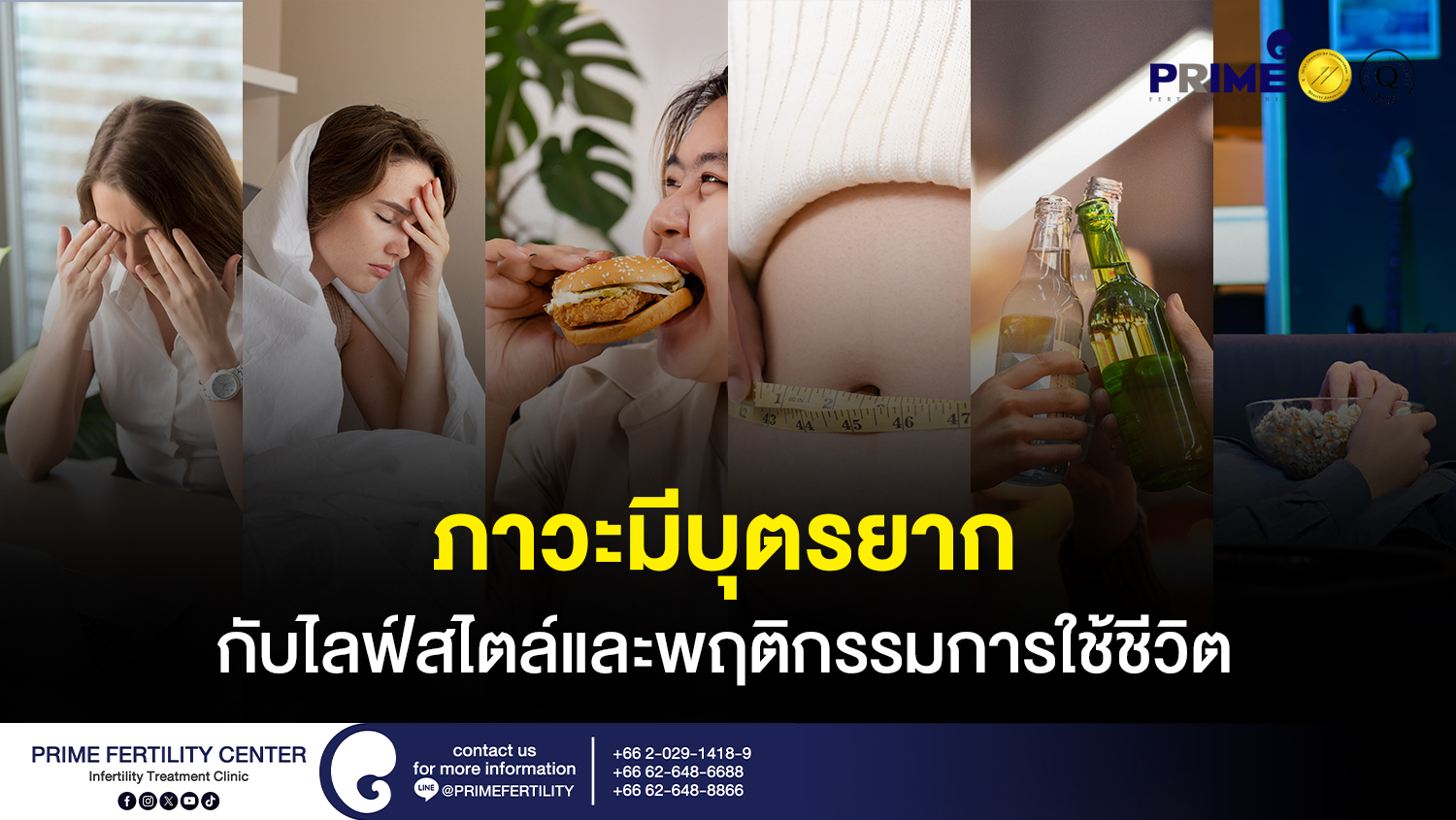 ภาวะมีบุตรยาก กับไลฟ์สไตล์และพฤติกรรมการใช้ชีวิต - SEO ภาวะมีบุตรยาก กับไลฟ์สไตล์และพฤติกรรมการใช้ชีวิต web 1 SEO ภาวะมีบุตรยาก กับไลฟ์สไตล์และพฤติกรรมการใช้ชีวิต web 1