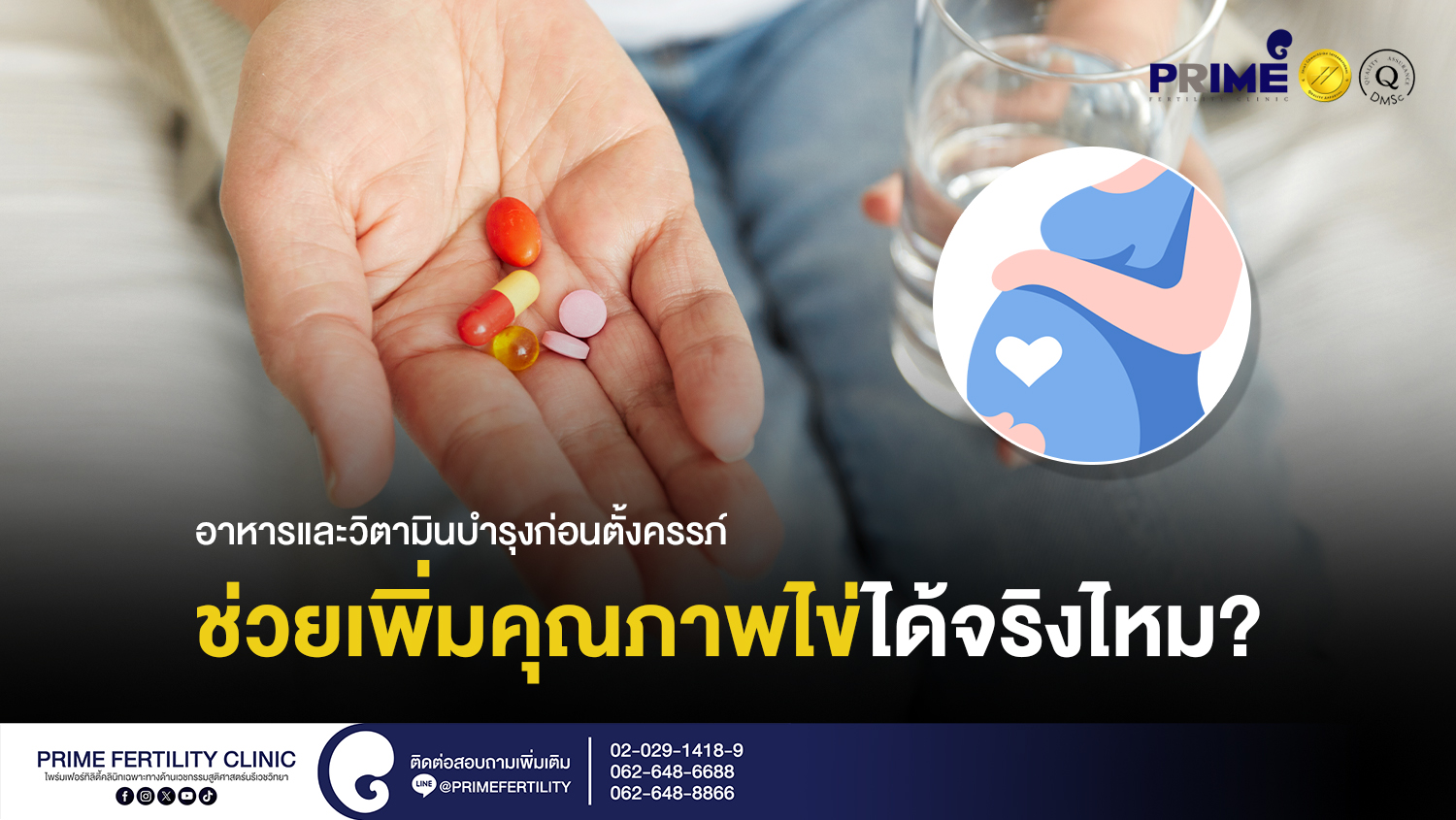 อาหารและวิตามินบำรุงก่อนตั้งครรภ์ ช่วยเพิ่มคุณภาพไข่ได้จริงไหม? - SEO อาหารและวิตามินบำรุงก่อนตั้งครรภ์ ช่วยเพิ่มคุณภาพไข่ได้จริงไหม web SEO อาหารและวิตามินบำรุงก่อนตั้งครรภ์ ช่วยเพิ่มคุณภาพไข่ได้จริงไหม web