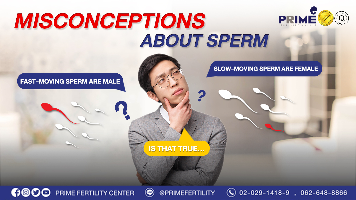 Misconceptions about sperm: Is it true that fast-moving sperm are male and slow-moving sperm are female? - ความเข้าใจผิดเกี่ยวกับอสุจิ web ความเข้าใจผิดเกี่ยวกับอสุจิ web