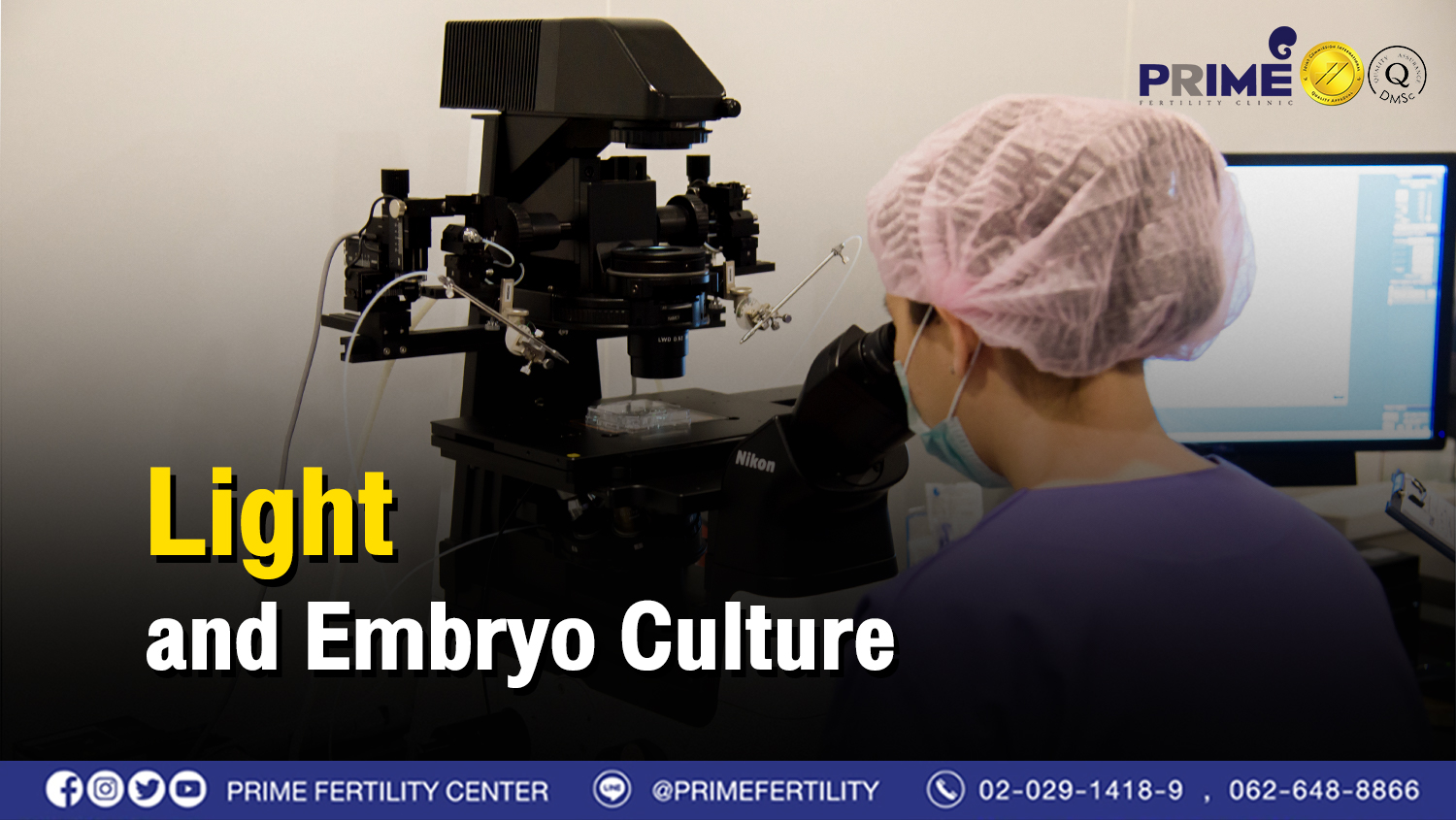 Light and Embryo Culture - แสงสว่างกับการเพาะเลี้ยงตัวอ่อน web แสงสว่างกับการเพาะเลี้ยงตัวอ่อน web