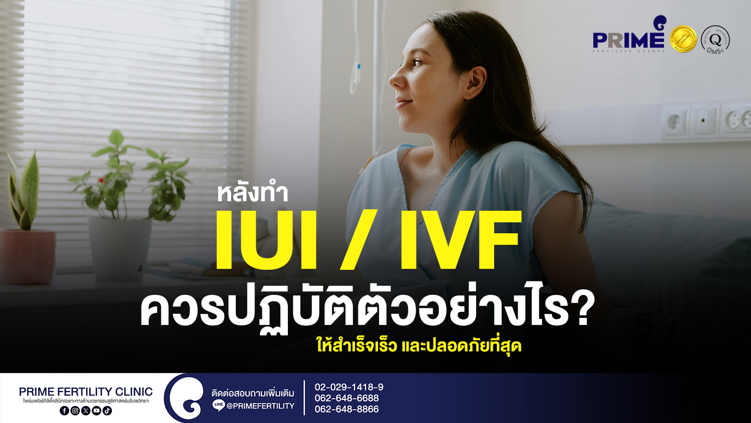 หลังทำ IUI / IVF ควรปฏิบัติตัวอย่างไร? เพื่อให้สำเร็จเร็ว และปลอดภัยที่สุด - SEO หลังทำ IUI IVF ควรปฏิบัติตัวอย่างไรให้สำเร็จเร็ว และปลอดภัยที่สุด web SEO หลังทำ IUI IVF ควรปฏิบัติตัวอย่างไรให้สำเร็จเร็ว และปลอดภัยที่สุด web