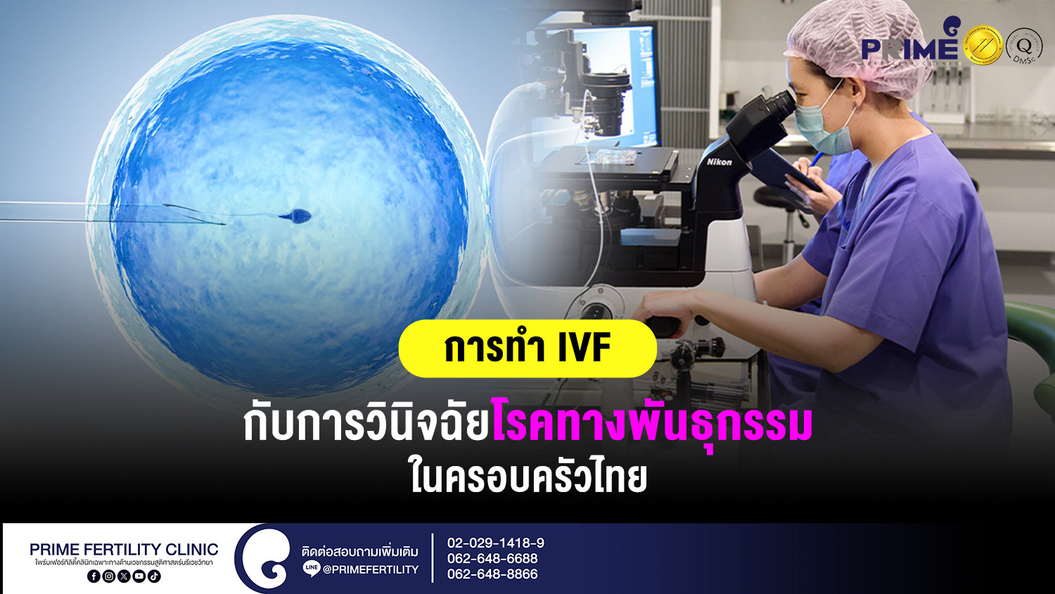 การทำ IVF กับการวินิจฉัยโรคทางพันธุกรรมในครอบครัวไทย - การทำ IVF กับการวินิจฉัย เวป การทำ IVF กับการวินิจฉัย เวป