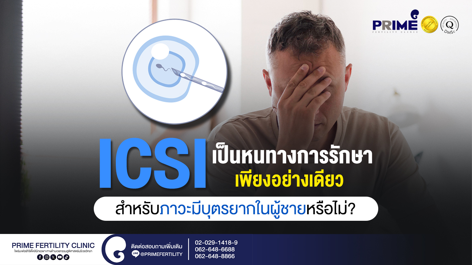 ICSI เป็นหนทางการรักษาเพียงอย่างเดียวสำหรับภาวะมีบุตรยากในผู้ชายหรือไม่? - ICSI เป็นหนทางการรักษาเพียงอย่างเดียวสำหรับภาวะมีบุตรยากในผู้ชายหรือไม่ web ICSI เป็นหนทางการรักษาเพียงอย่างเดียวสำหรับภาวะมีบุตรยากในผู้ชายหรือไม่ web