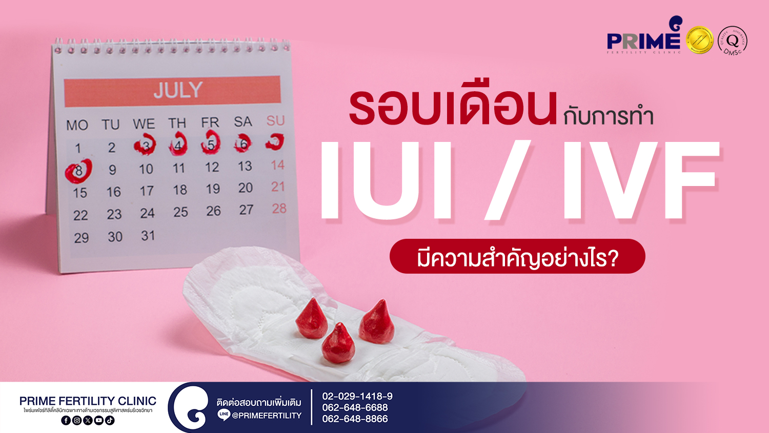 รอบเดือนกับการทำ IUI/IVF มีความสำคัญอย่างไร - SEO รอบเดือนกับการทำ IUI IVF มีความสำคัญอย่างไร web SEO รอบเดือนกับการทำ IUI IVF มีความสำคัญอย่างไร web