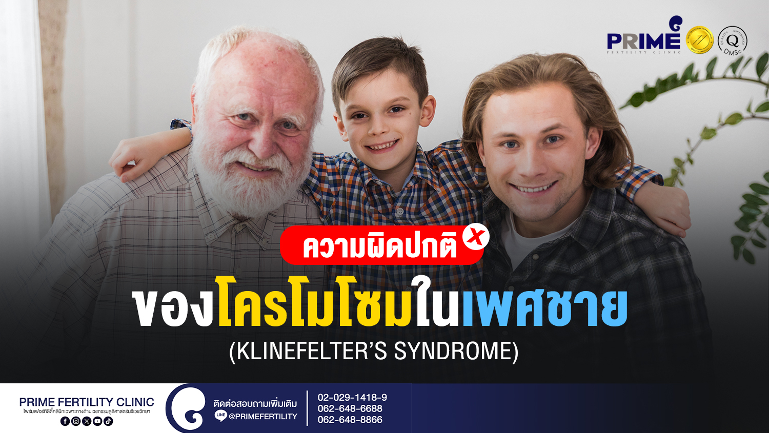 ความผิดปกติของโครโมโซมในเพศชาย - ความผิดปกติของโครโมโซมในเพศชาย Klinefelters syndrome web ความผิดปกติของโครโมโซมในเพศชาย Klinefelters syndrome web