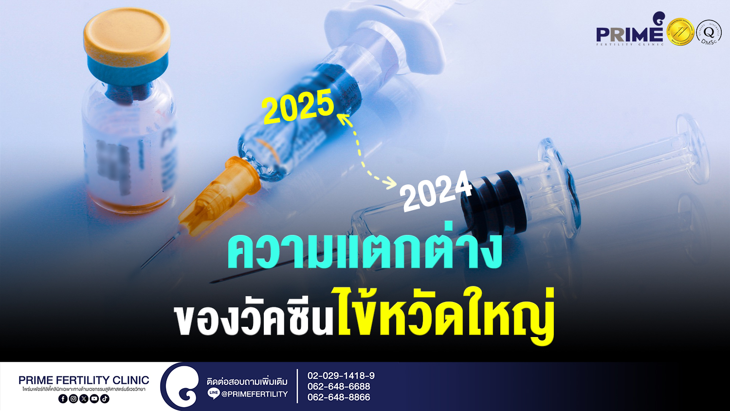 ความแตกต่างของวัคซีนไข้หวัดใหญ่ ปี 2024 และ ปี 2025 - ความแตกต่างระหว่างวัคซีน 2025 เวป ความแตกต่างระหว่างวัคซีน 2025 เวป