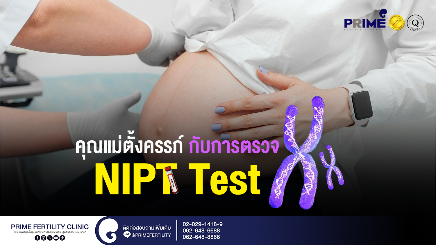 คุณแม่ตั้งครรภ์ กับการตรวจ NIPT Test - คุณแม่ตั้งครรภ์ กับการตรวจ NIPT Test web คุณแม่ตั้งครรภ์ กับการตรวจ NIPT Test web