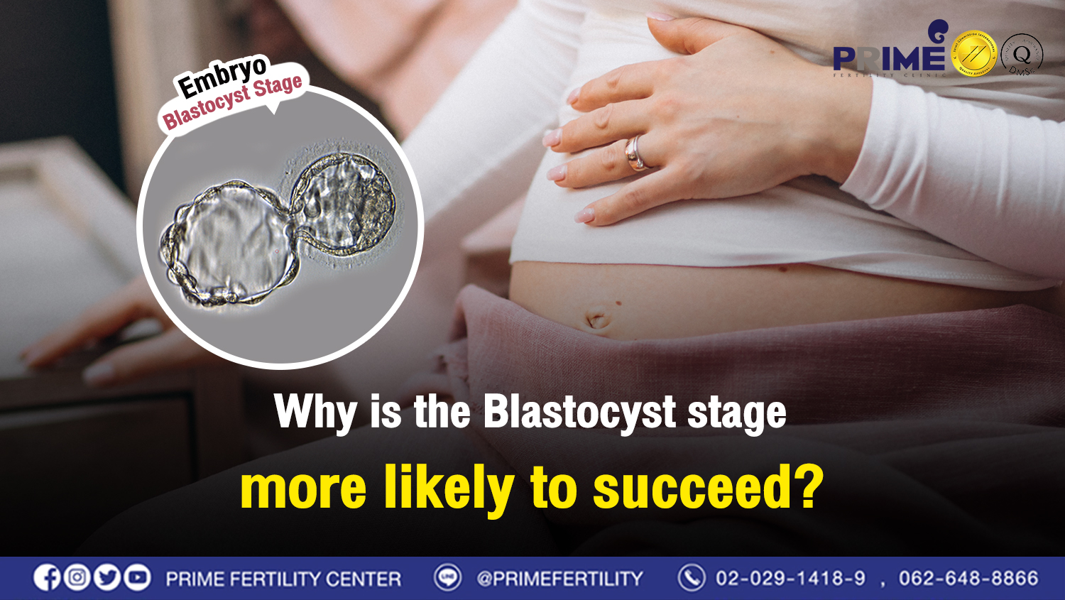 Why is the Blastocyst stage more likely to succeed? - ทำไมตัวอ่อนระยะ Blastocyst ถึงมีโอกาสสำเร็จมากกว่า web ทำไมตัวอ่อนระยะ Blastocyst ถึงมีโอกาสสำเร็จมากกว่า web
