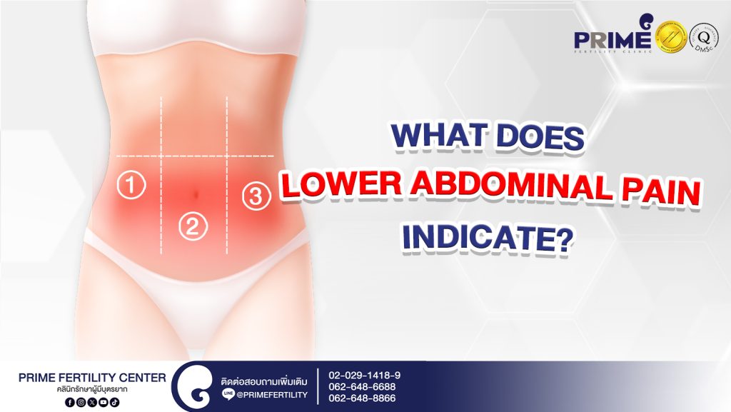 What does lower abdominal pain indicate? - ปวดท้องช่วงล่างบอกอะไร web ปวดท้องช่วงล่างบอกอะไร web