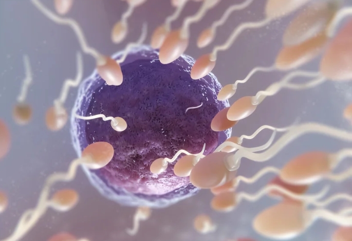 ICSI and Overcoming Infertility : Frequently Asked Question - 1773374702381 1773374702381