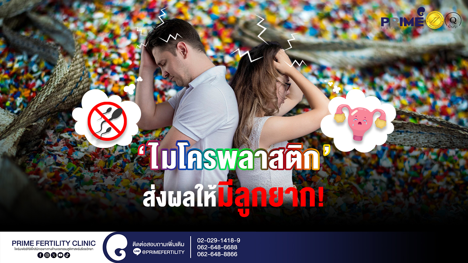 ไมโครพลาสติก ส่งผลให้มีลูกยาก!! - ไมโครพลาสติกทำให้มีลูกยาก เวป ไมโครพลาสติกทำให้มีลูกยาก เวป
