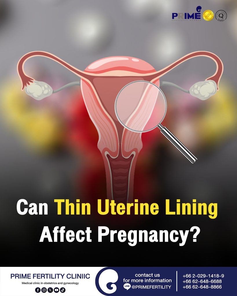Can Thin Uterine Lining Affect Pregnancy? - ผนังมดลูกบางมีโอกาสท้องหรือไม่ IG ผนังมดลูกบางมีโอกาสท้องหรือไม่ IG
