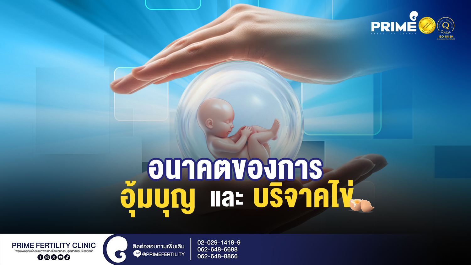 อนาคตของการอุ้มบุญและการบริจาคไข่ - อนาคตของการอุ้มบุญและการบริจาคไข่ Web 1 อนาคตของการอุ้มบุญและการบริจาคไข่ Web 1