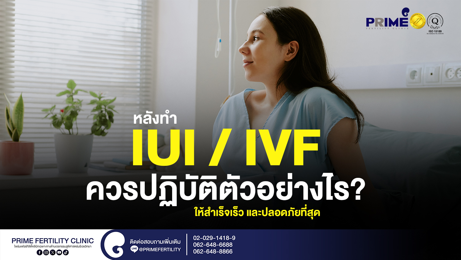 หลังทำ IUI / IVF ควรปฏิบัติตัวอย่างไรให้สำเร็จเร็ว และปลอดภัยที่สุด - SEO หลังทำ IUI IVF ควรปฏิบัติตัวอย่างไรให้สำเร็จเร็ว และปลอดภัยที่สุด web 1 SEO หลังทำ IUI IVF ควรปฏิบัติตัวอย่างไรให้สำเร็จเร็ว และปลอดภัยที่สุด web 1